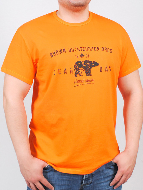 BIG BROWN футболка оранжевый