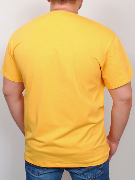 BIG BROWN футболка желтый